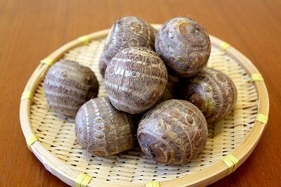 11/13 NHK岐阜総合「みのひだ情報局」でJAめぐみの管内の円空サトイモが紹介されました！