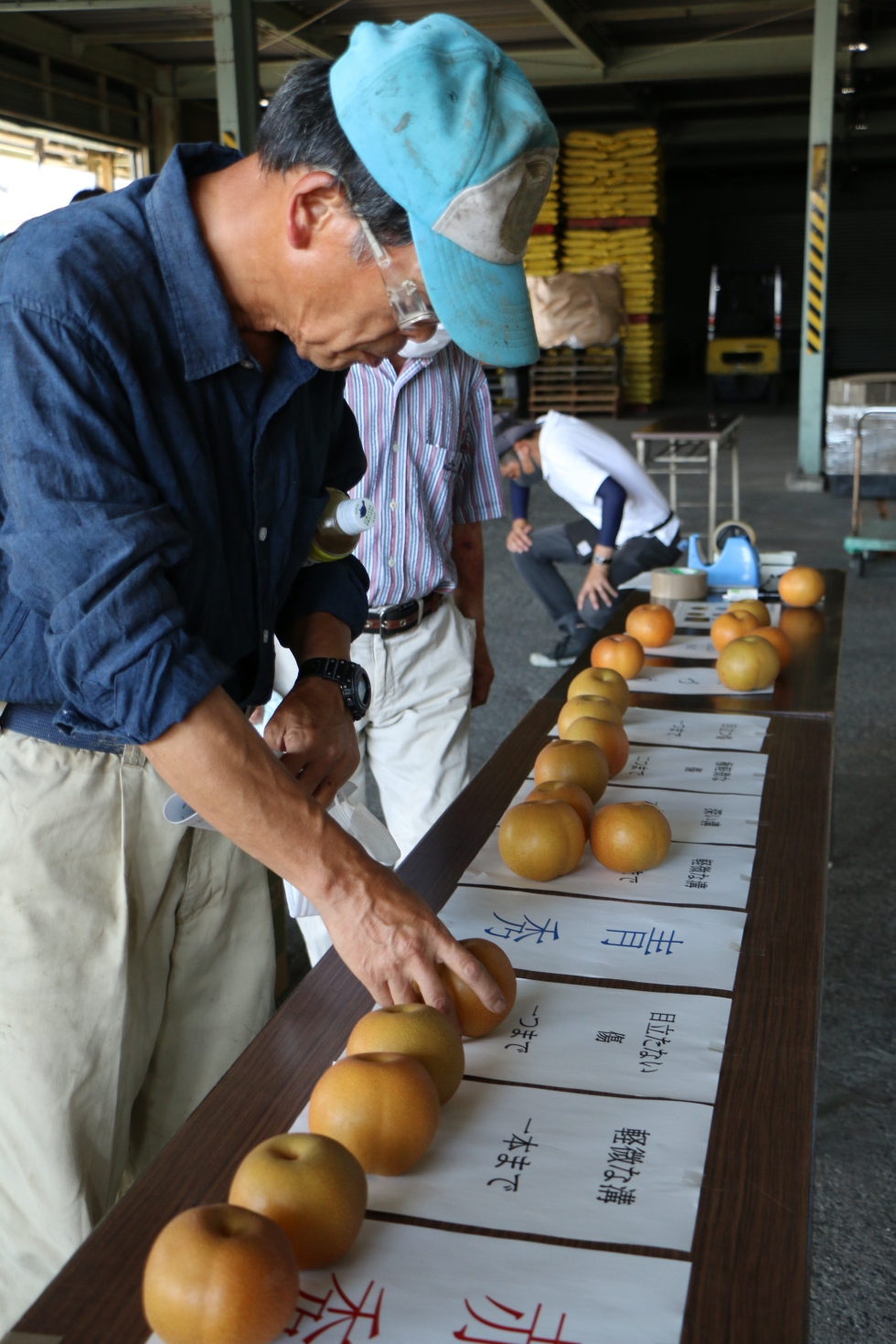 岐阜市で梨「豊水」出荷始まっています