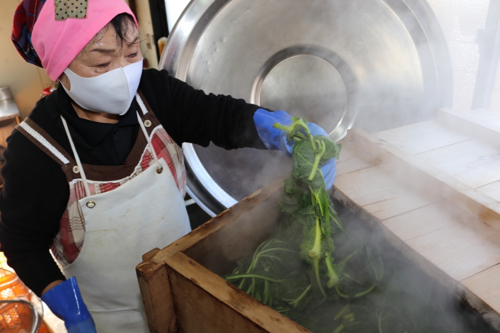 富加町でヤーコン茶の加工が行われています