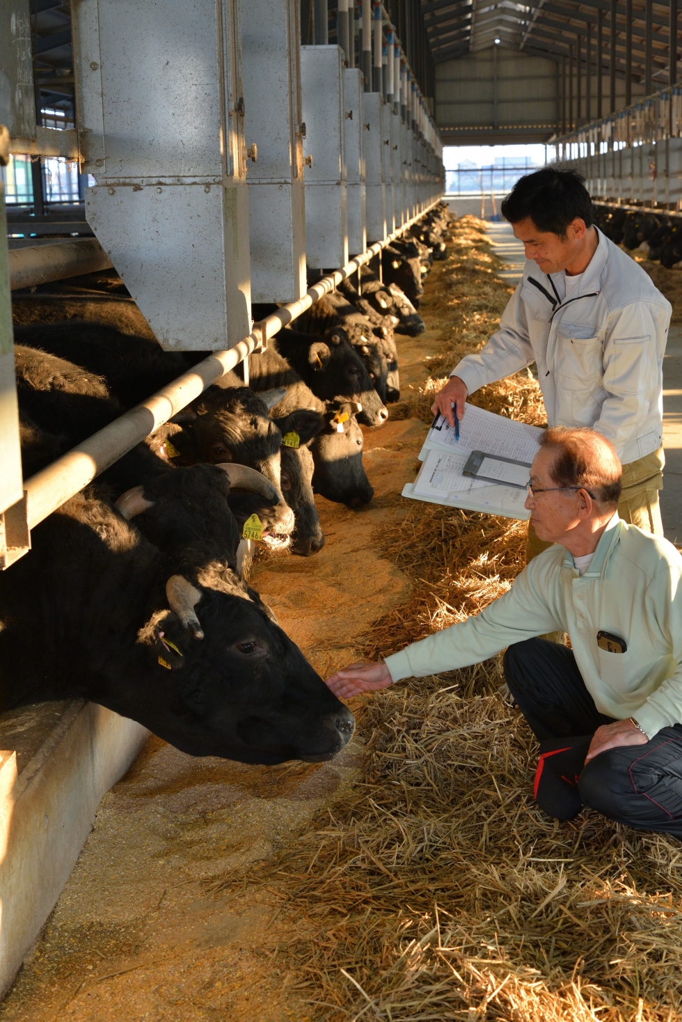 地元産の餌と徹底したデータ管理で飛騨牛ブランドを守る