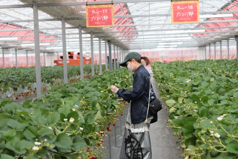山県市に岐阜県内最大級の農業体験施設「みとか」がオープンしました